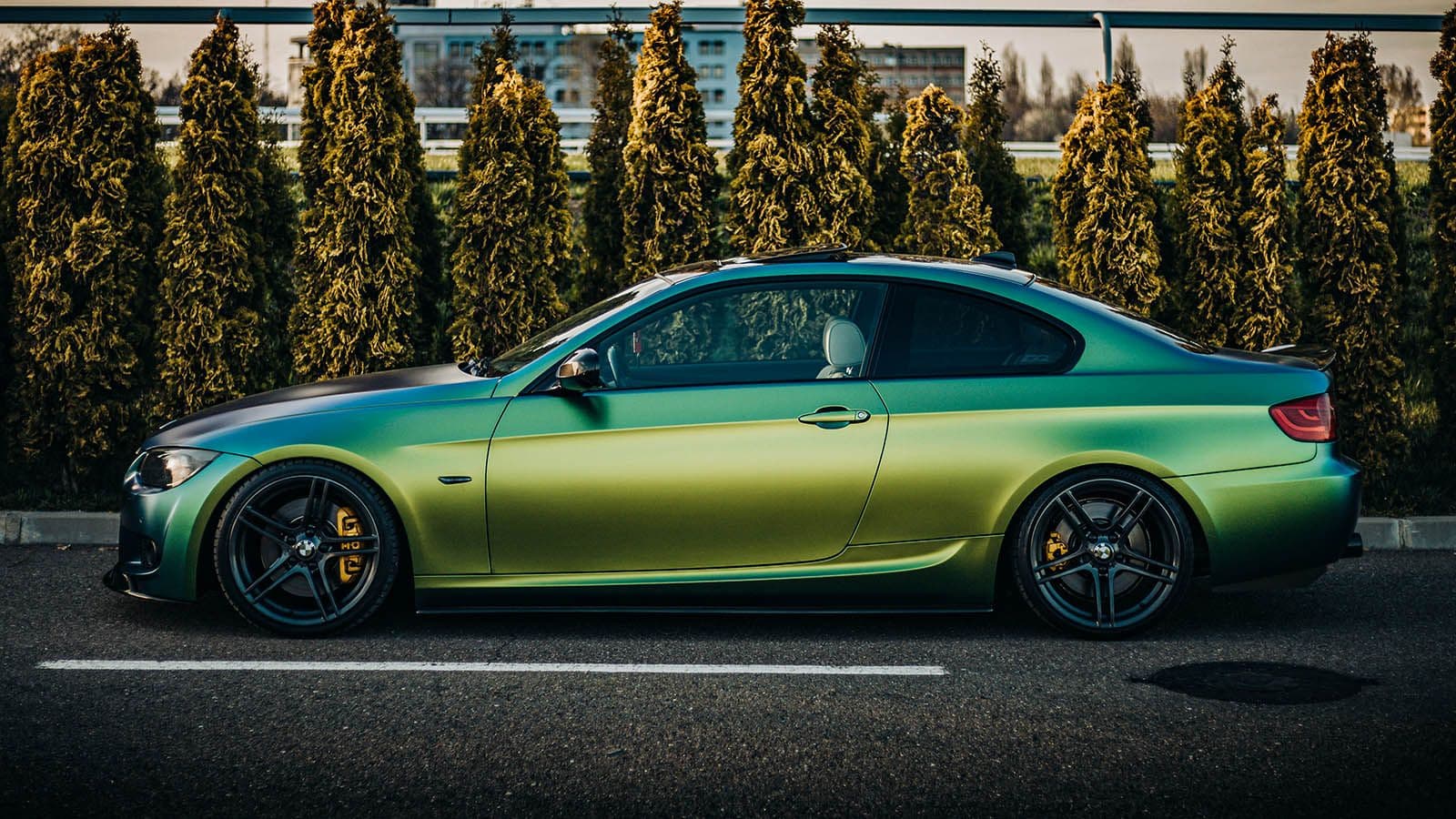 Foliera bilen en stark trend
