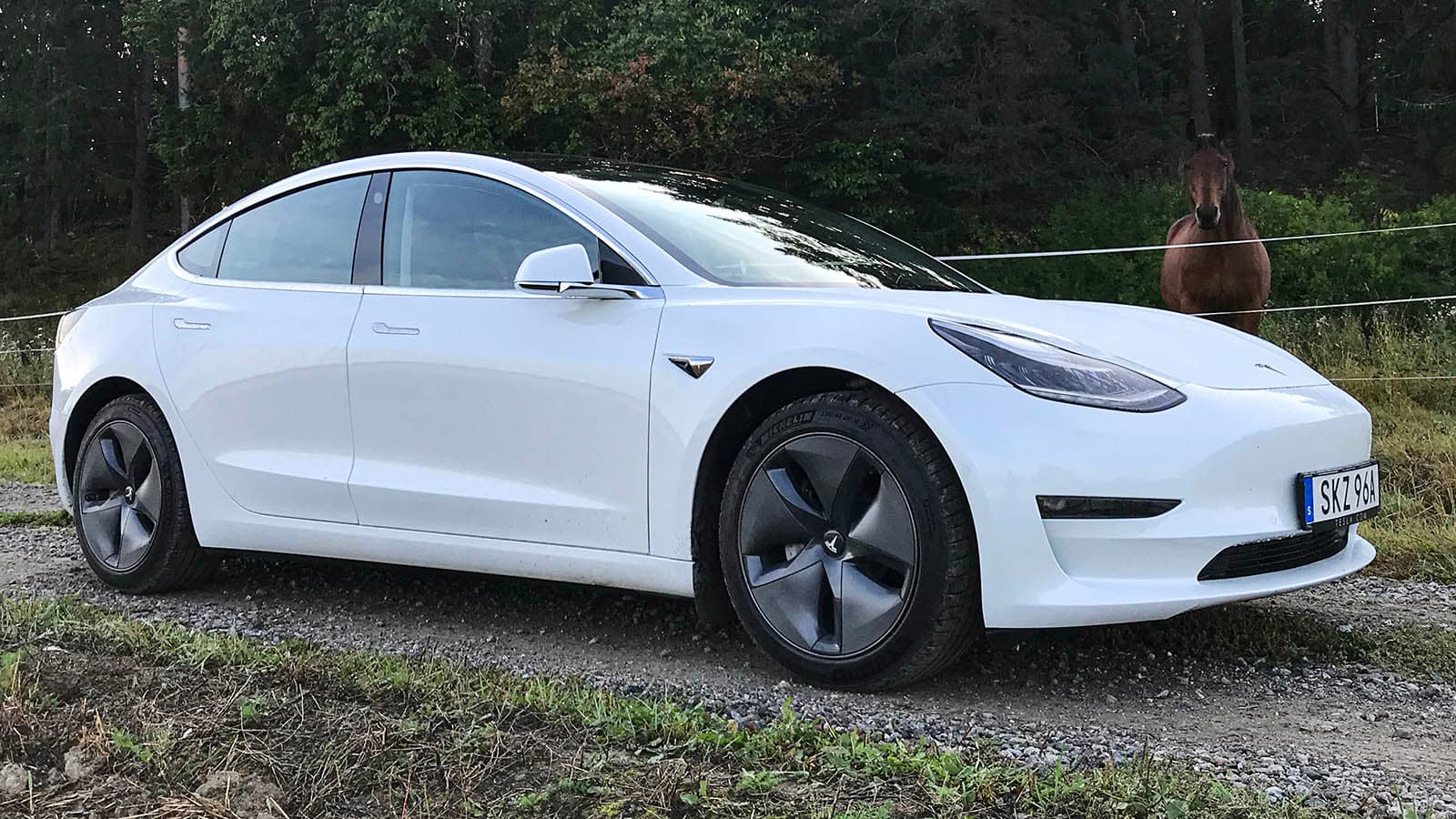 Elbilar upp 174% - Tesla ny etta